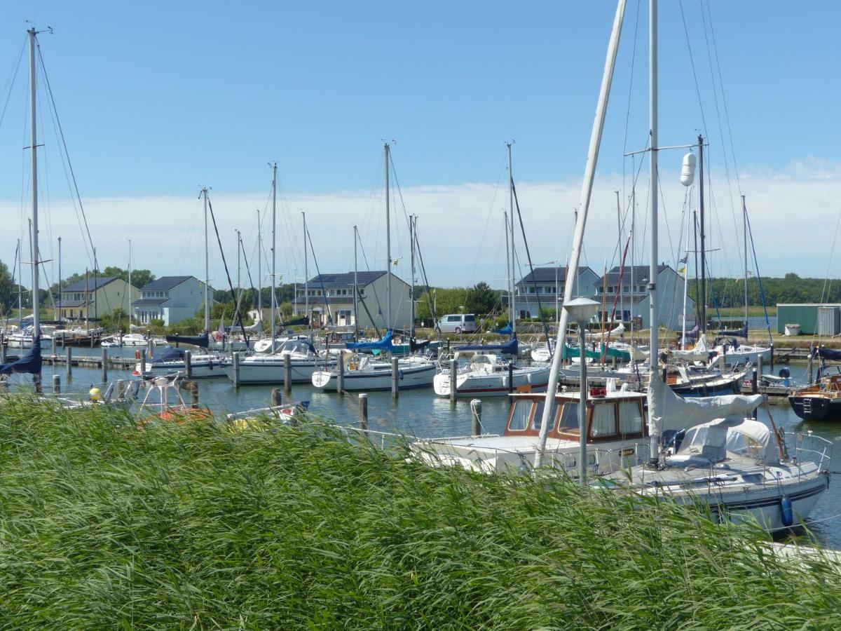 Wierhooft 21 Den Oever Exteriér fotografie