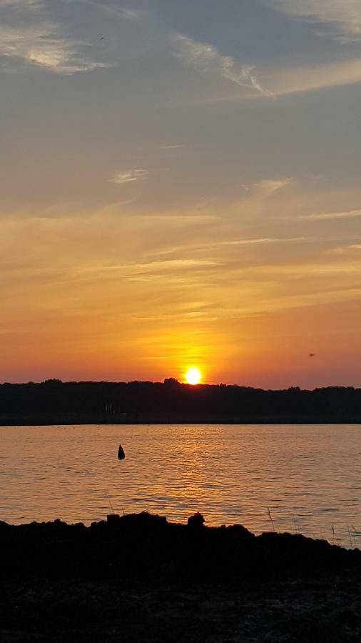 Wierhooft 21 Den Oever Exteriér fotografie